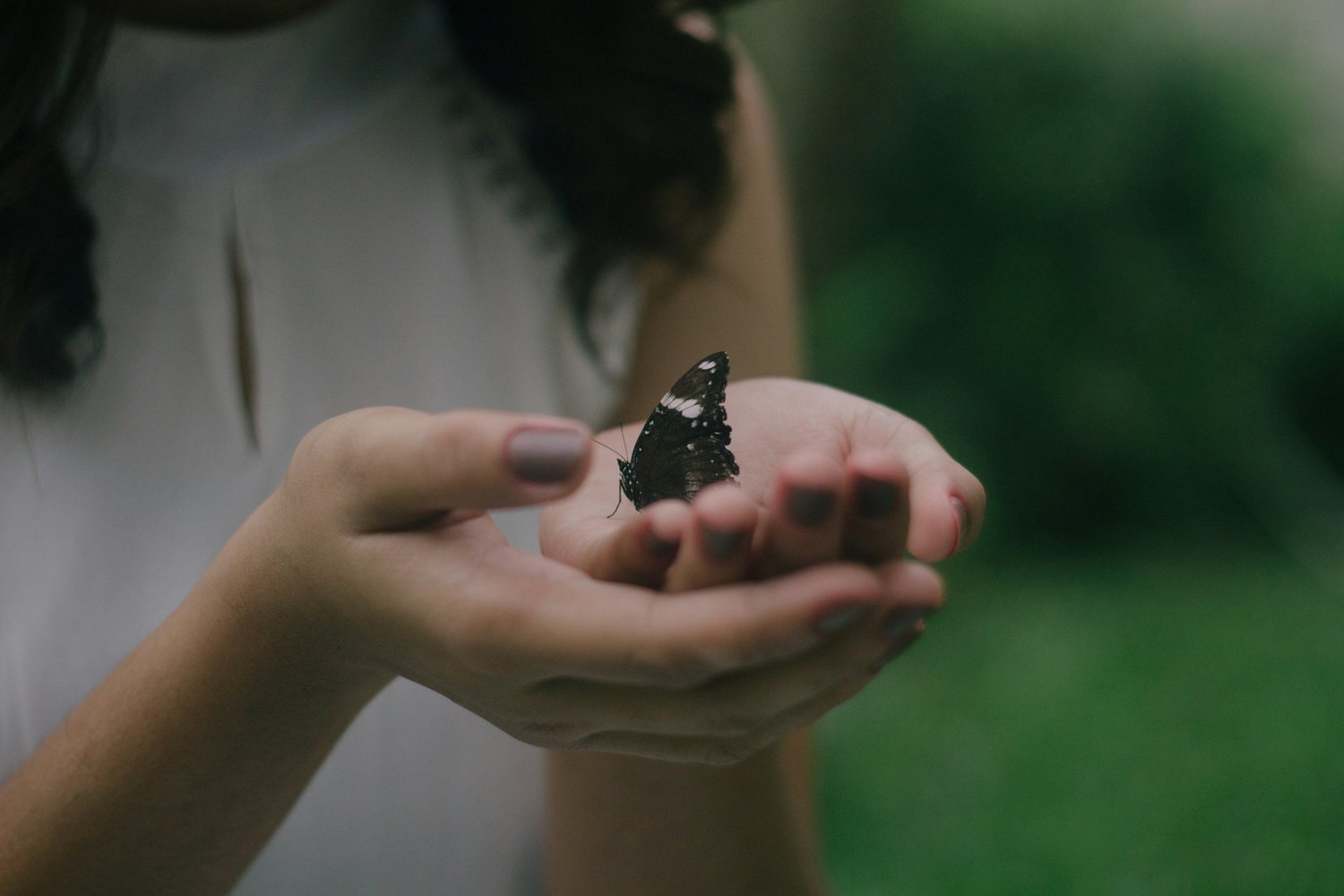 Starting the Year Gently (and Letting That Be Enough)
